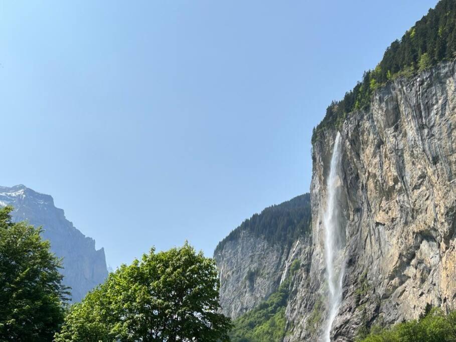 Chalet Maithili Lauterbrunnen -152-Year-Old Majestic Chalet Dış mekan fotoğraf